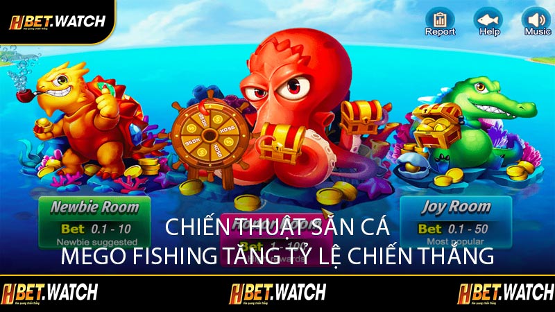 Chiến Thuật Săn Cá Mego Fishing Tăng Tỷ Lệ Chiến Thắng