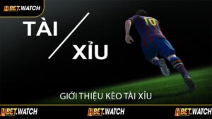 Giới Thiệu Kèo Tài Xỉu