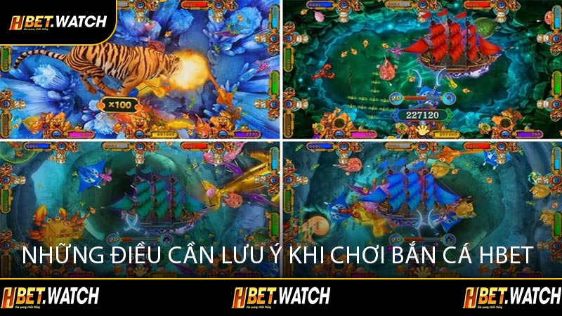 Những Điều Cần Lưu Ý Khi Chơi Bắn Cá HBET